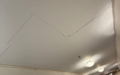 Sheet Rock Damage
